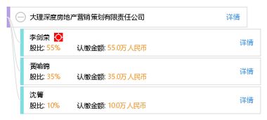 大理深度房地產(chǎn)營銷策劃有限責(zé)任公司 專業(yè)賦能，打造房地產(chǎn)營銷新高度